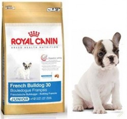 Royal Canin French Bulldog Junior (Роял Канин) Французкий бульдог юниор