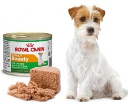 Royal Canin (Роял Канин) консервы для собак Эдалт Бьюти Вет