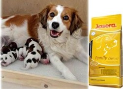 Josera Dog Family (Йозера Фемили) корм для беременных, кормящих сук и щенков с 3-х недель