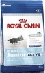 Royal Canin Maxi Junior Active (Роял Канин Макси Юниор Актив)