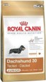 Royal Canin Dachshund Junior (Роял Канин Такса Юниор)