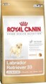 Royal Canin Labrador Retriver Junior (Роял Канин Лабрадор Ретривер Юниор)