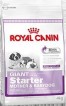 Royal Canin (Роял Канин) Гигант Стартер