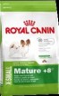 Royal Canin Xsmall Adult +8 (Роял Канин Икс-Смол Эдалт +8)