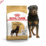 Royal Canin ROTTWEILER ADULT Сух. корм для дор. собак породи ротвейлер  від 18 міс., 12кг